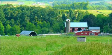 Owens Farm, Sunbury, Pennsylvania | Farm Stay USA