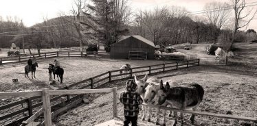 East Hill Farm, Troy, New Hampshire | Farm Stay USA