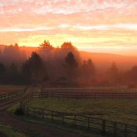 Brunner Family Farm, California