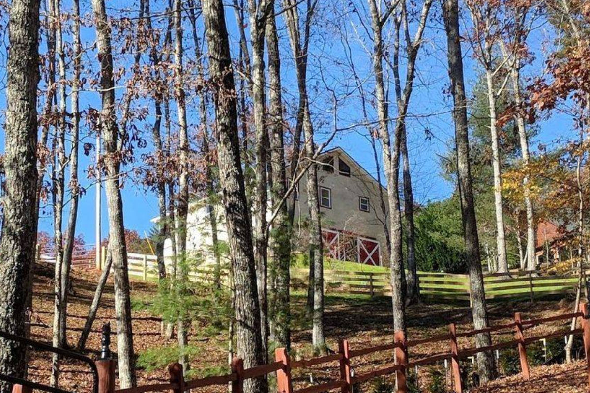 Daffodil Hill Farm and Carriage Farm Stay USA