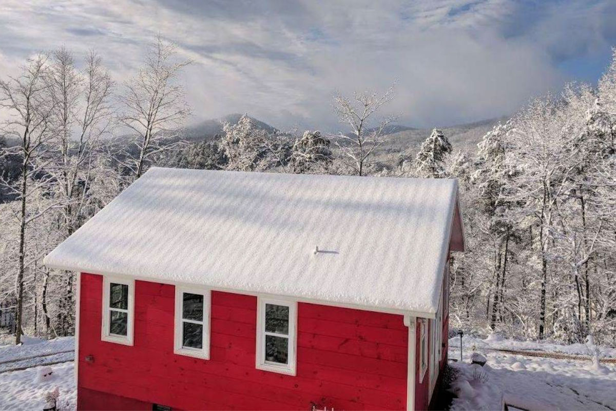 Daffodil Hill Farm and Carriage Farm Stay USA