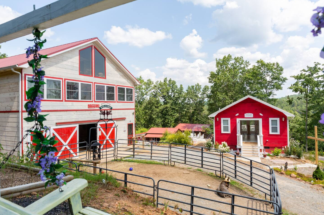 Daffodil Hill Farm and Carriage Farmstay