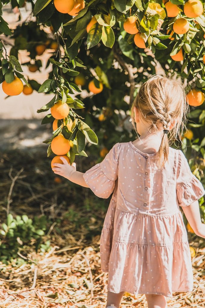 Morning Song Farm, Fallbrook, California | Farm Stay USA