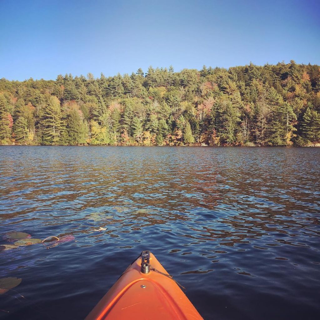 Toddy Pond Farm, Monroe, Maine | Farm Stay USA