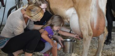 little girl and woman milking a tan dairy cow, New York | Farm Stay USA