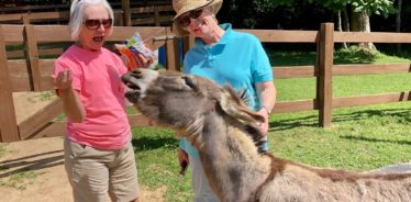 Horse Creek Stable Bed and Breakfast, Mineral Bluff, Georgia | Farm Stay USA