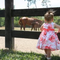 Welcome to Splendor Farms!