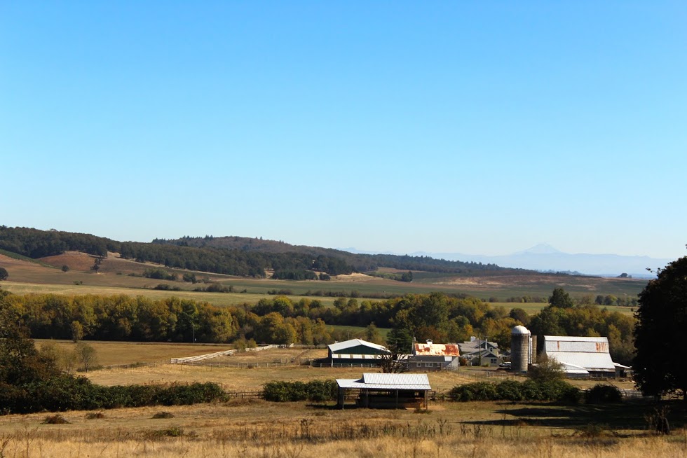 Airlie Farm Bed & Breakfast, Monmouth, Oregon | Farm Stay USA