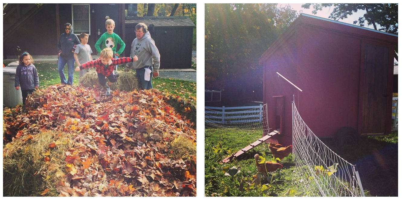 The Inn at East Hill Farm Thanksgiving | Farm Stay USA