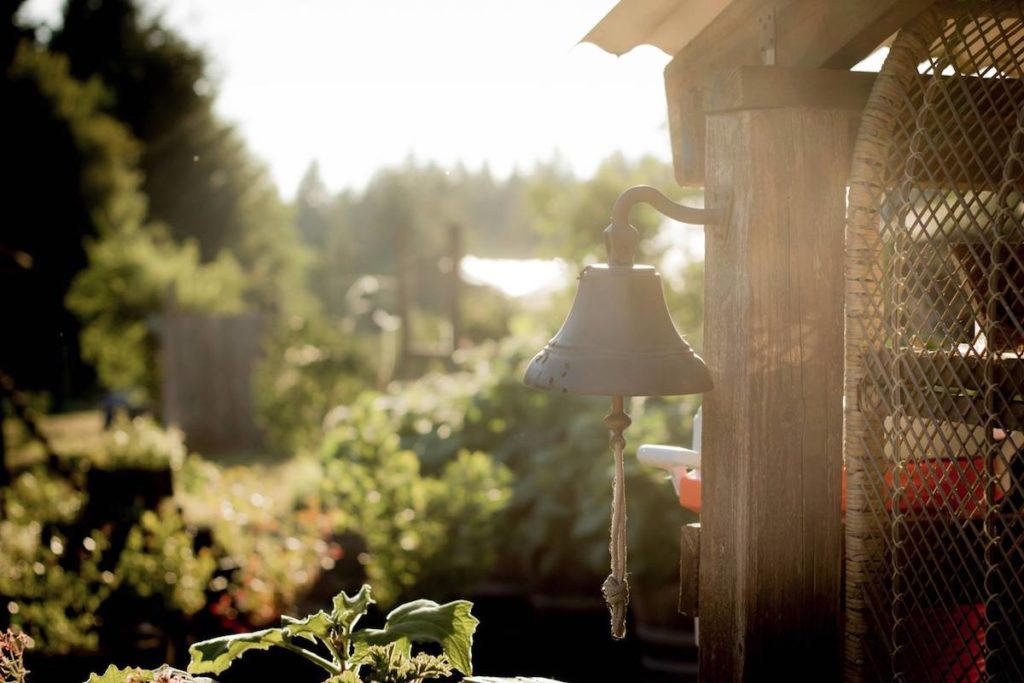 MoonRidge Farms, Beaverton, OR | Farm Stay USA