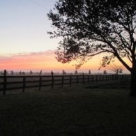 sunrise @ Prairie Wind Farm, Round Top, Texas | Farm Stay USA