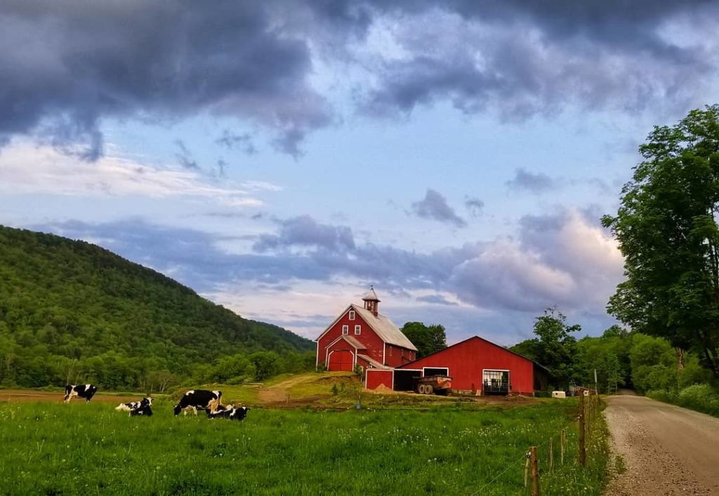 Liberty Hill Farm Inn, Rochester, VT | Farm Stay USA