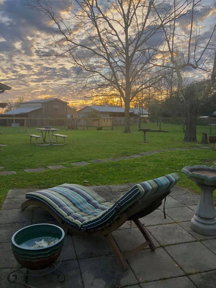 Bonne Terre Farm, Breaux Bridge, LA | Farm Stay USA