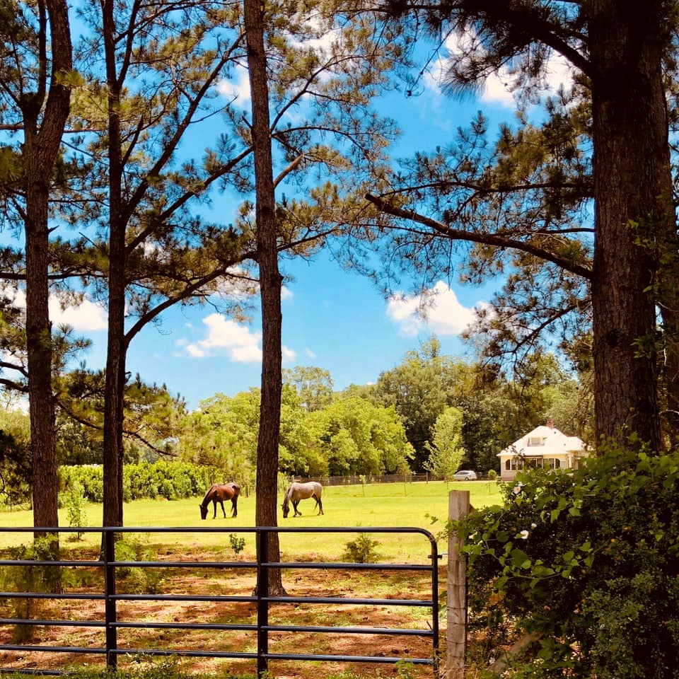 Bonne Terre Farm, Breaux Bridge, LA | Farm Stay USA