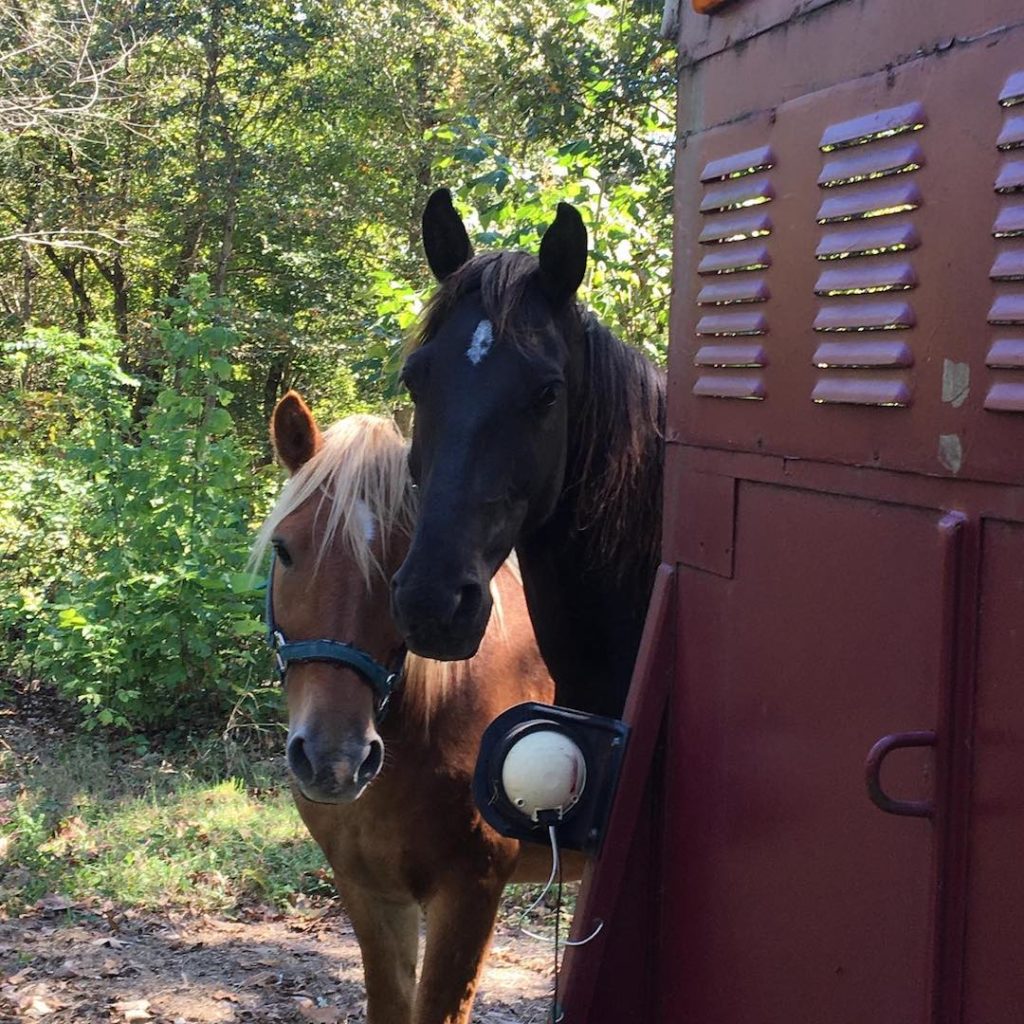 Dogwood Hills Guest Farm, Harriet, AR | Farm Stay USA