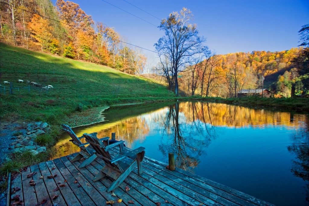 East Fork Farm, Marshall, NC | Farm Stay USA