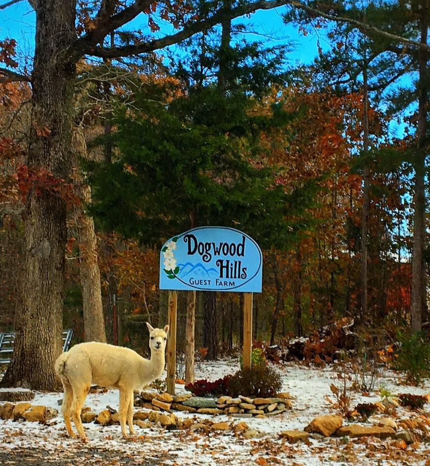 Dogwood Hills Guest Farm, Harriet, AR | Farm Stay USA