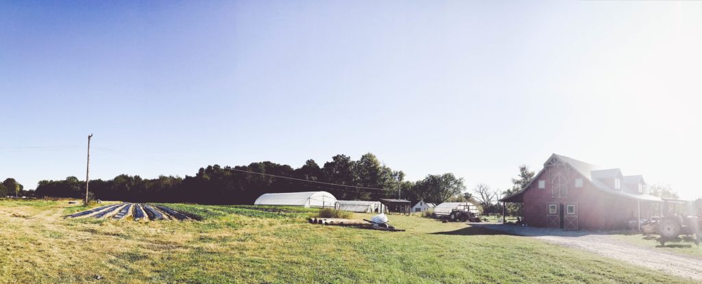 By Faith Farm, Joelton, Tennessee | Farm Stay USA