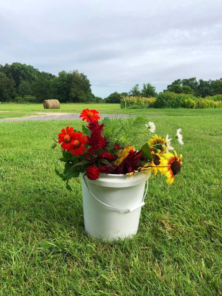 By Faith Farm, Joelton, Tennessee | Farm Stay USA