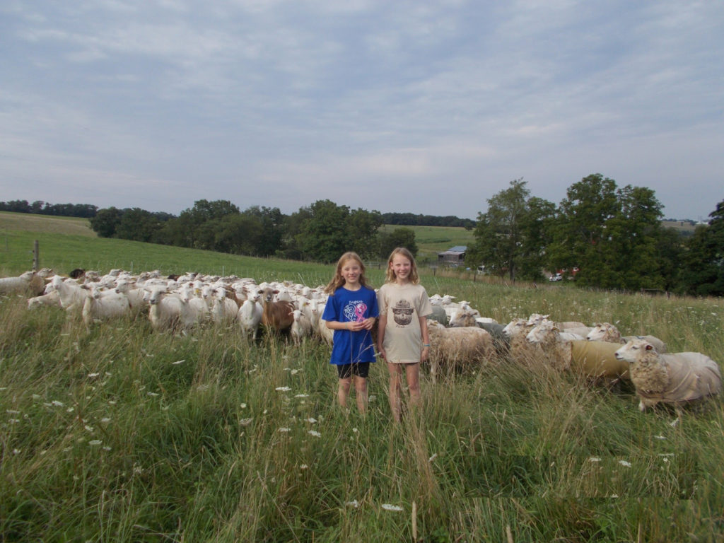 Owens Farm, Sunbury, Pennsylvania | Farm Stay USA