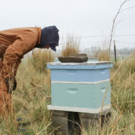 We keep bees with the help of our volunteer beekeeper.