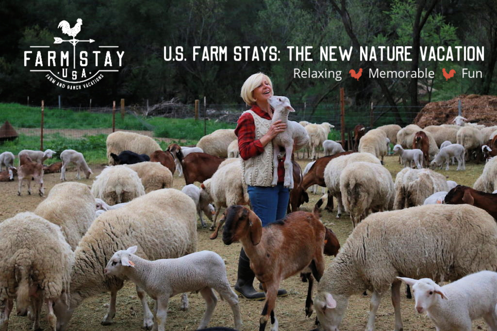The New Nature Vacation | Farm Stay USA