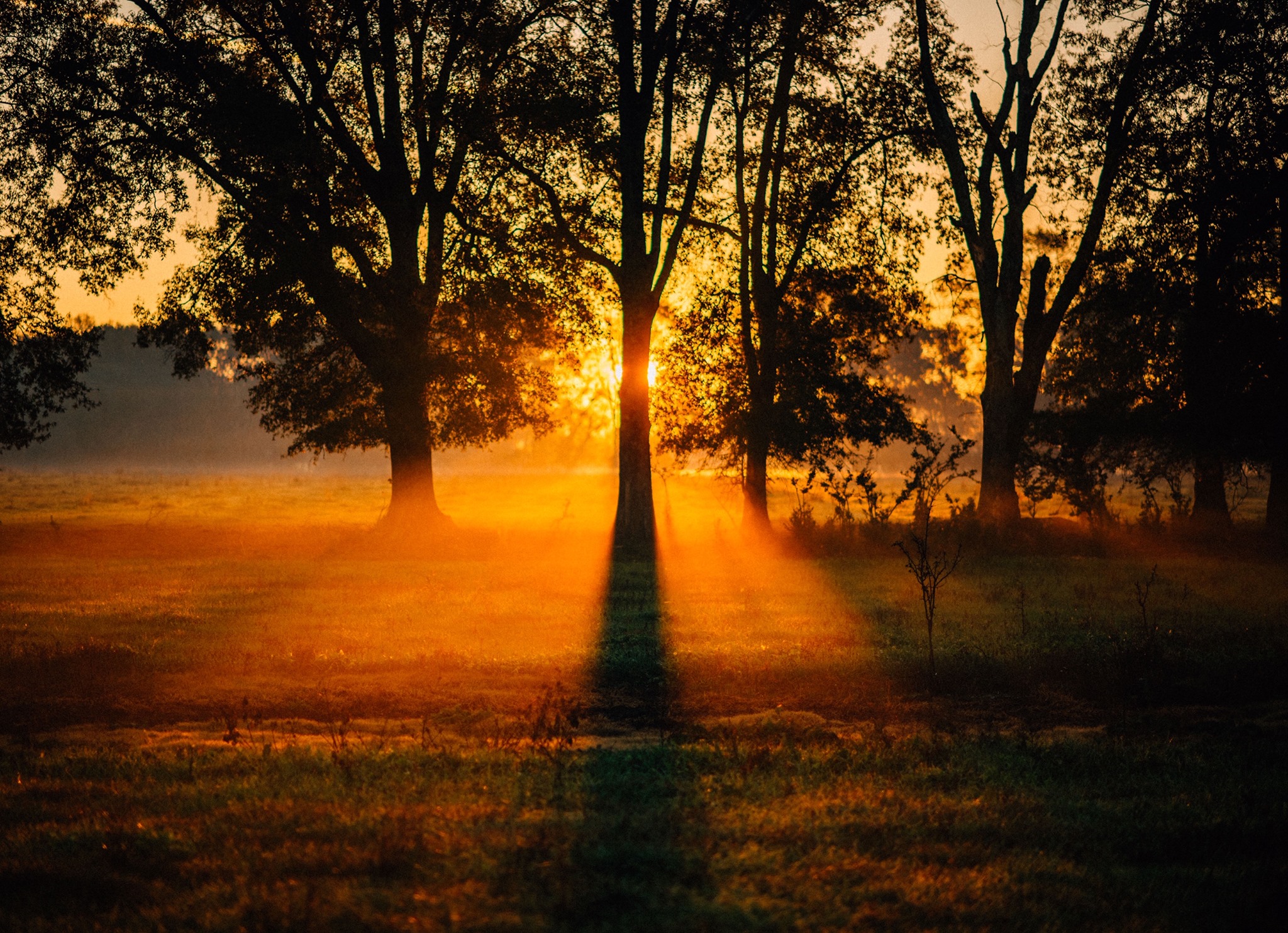 White Oak Pastures, Bluffton, Georgia | Farm Stay USA