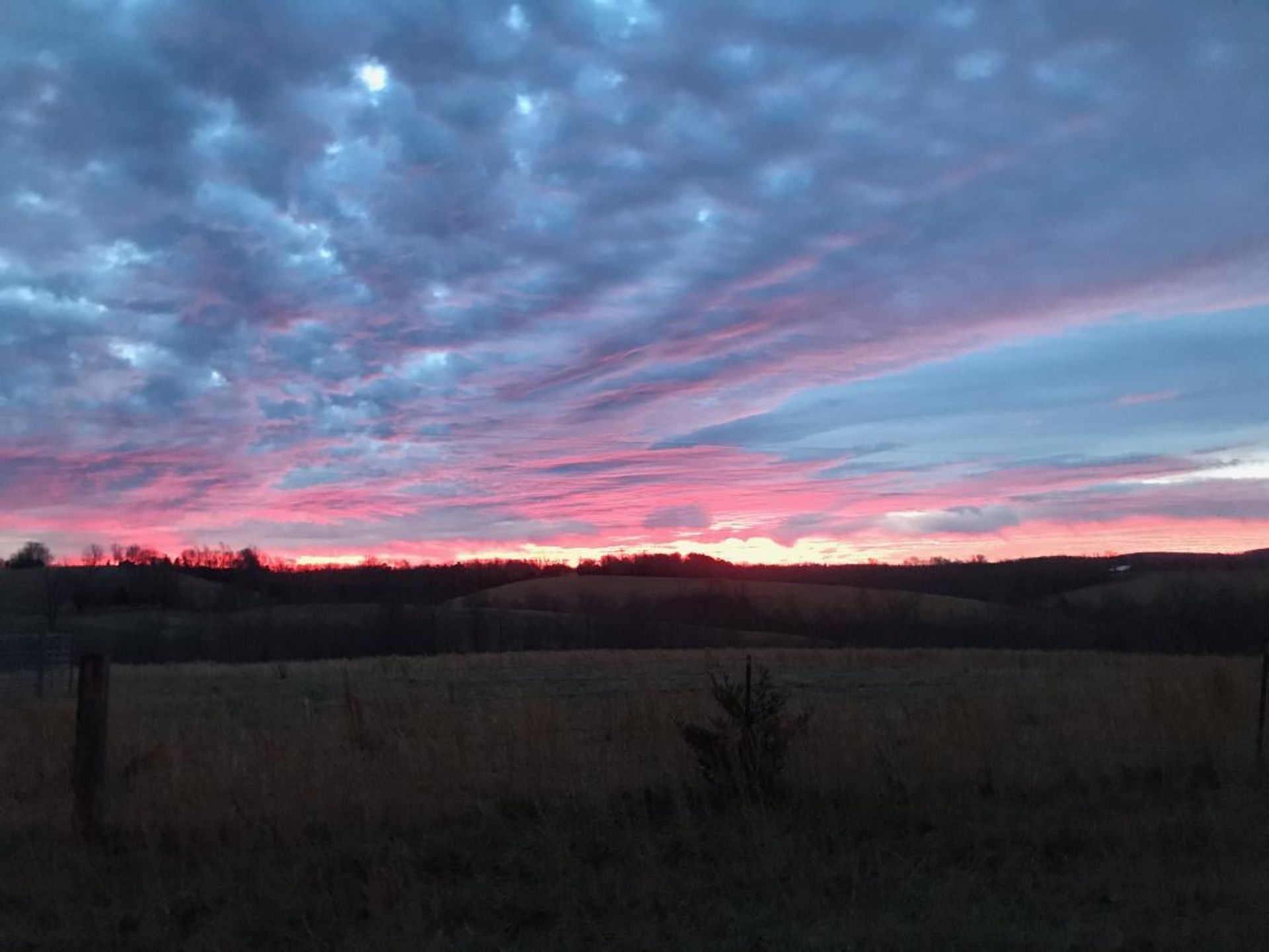 Ratchford Buffalo Farms - Farmstay