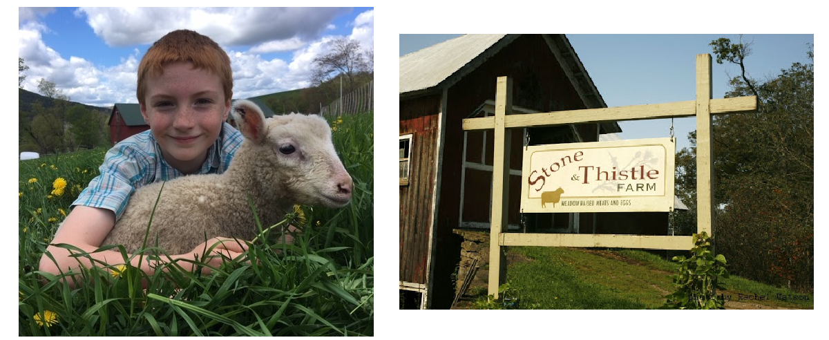 Stone & Thistle Farm, East Meredith, NY | FarmStay USA