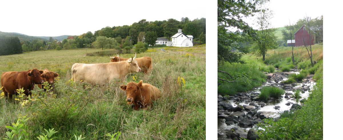 Stone & Thistle Farm, East Meredith, NY | FarmStay USA