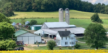 Maple Bottom Farm | Farm Stay USA