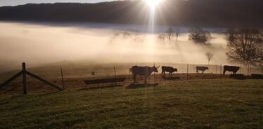 4 Corners Ranch ME | Farm Stay USA
