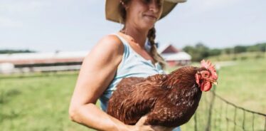 Graceful Acres Farmstay at Otter Creek Farm | Farm Stay USA