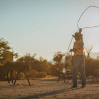 lasso roping