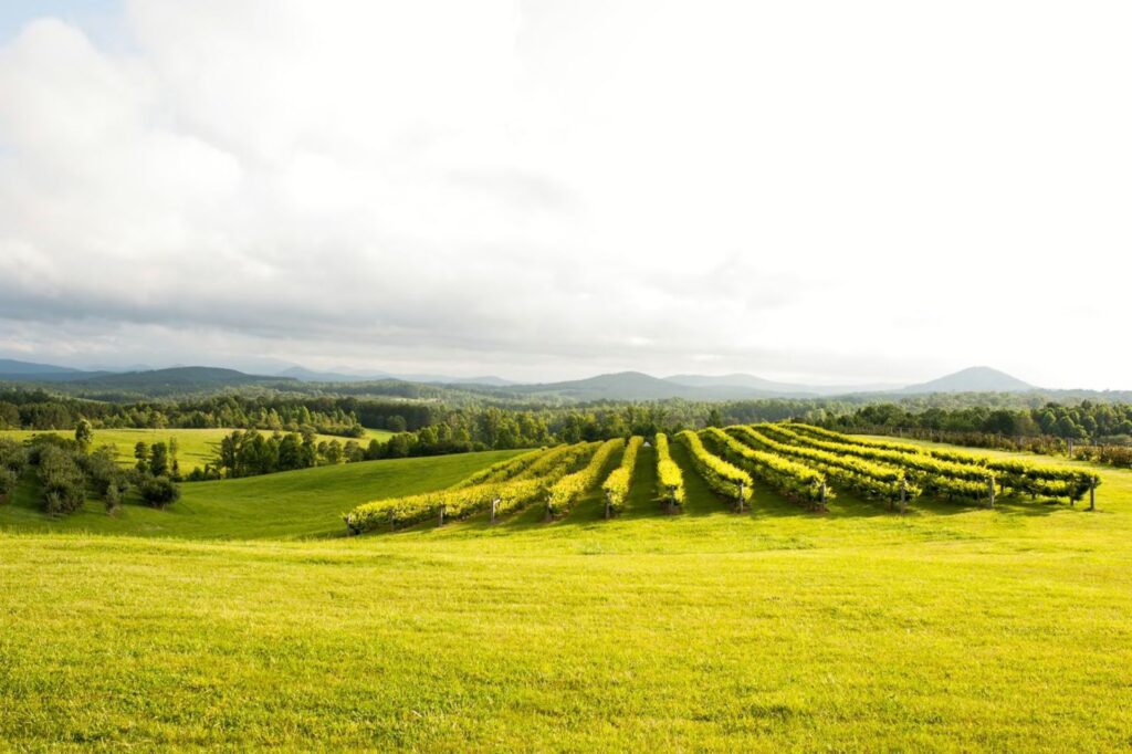 Chattooga Belle Farm, SC | Farm Stay USA