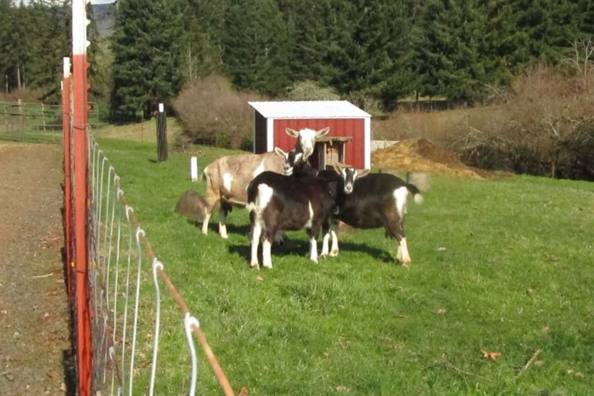 Rising Star Farm Farmstay