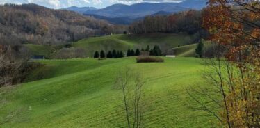 Songbird Cabin at Cornett Deal Christmas Tree Farm | Farm Stay USA