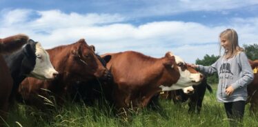 Medicine Creek Farm MN | Farm Stay USA