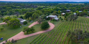 aerial view of vineyard and buildings