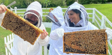 2 people holding bees