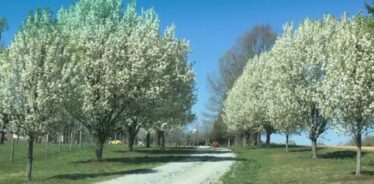 Felicity Farms NC | Farm Stay USA