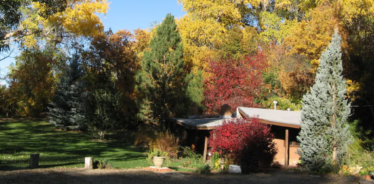a building with fall trees in the background