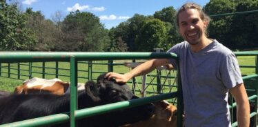 man petting cows
