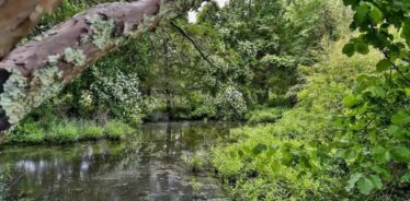 Pelham Farms MA | Farm Stay USA