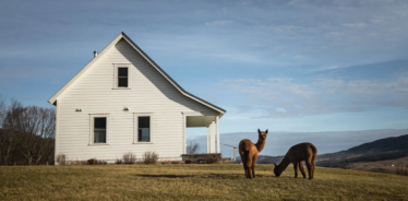 Mill Gap Farm VA | Farm Stay USA
