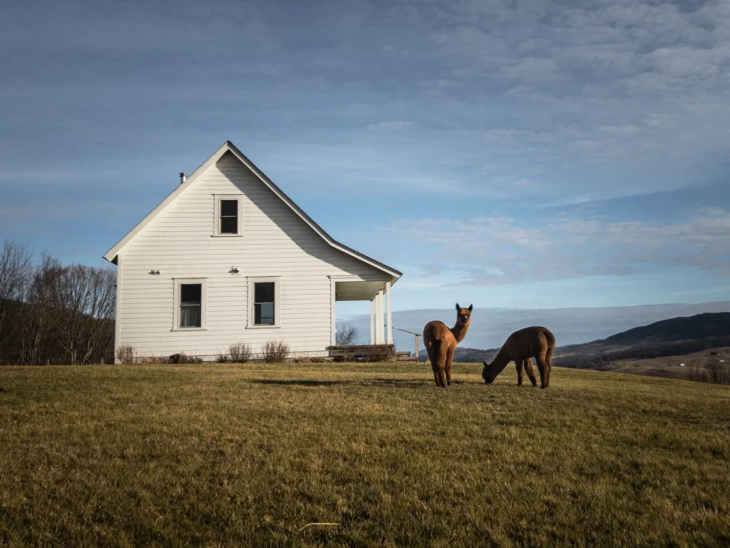 Mill Gap Farm VA | Farm Stay USA