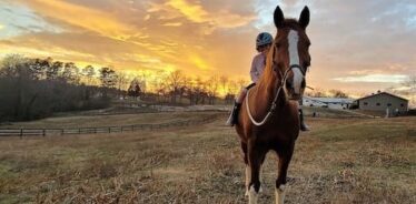 Riverside Riding Ranch NC | Farm Stay USA