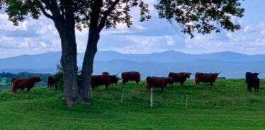 Highland House (Shat Acres) VT | Farm Stay USA