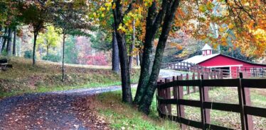 Storybrook Acres GA | Farm Stay USA