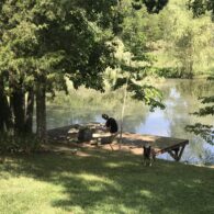 Quiet time